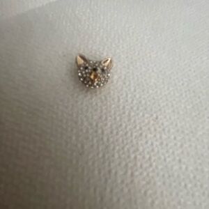 Gold and Silver rhinestone pet charm
